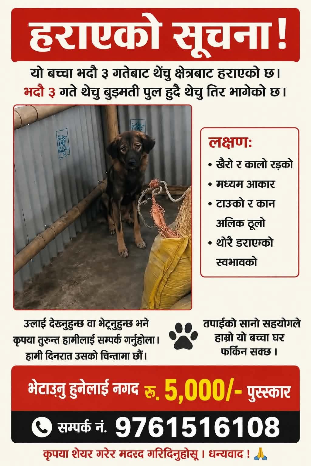 Bachha